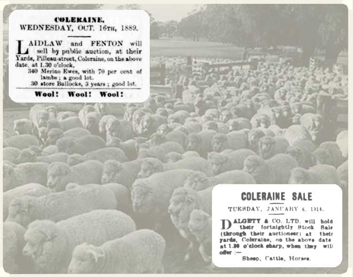 Sale Yards